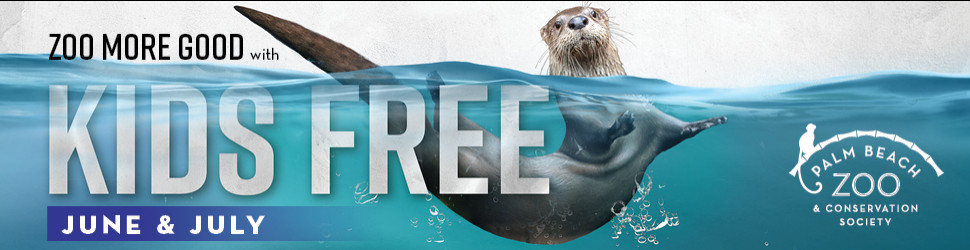 Image of otter kids enter free until end of July